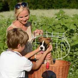 KLICKfix Doggy Basket braun
