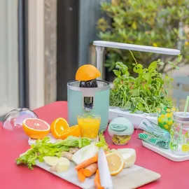 LIVOO Zitruspresse - DOD193