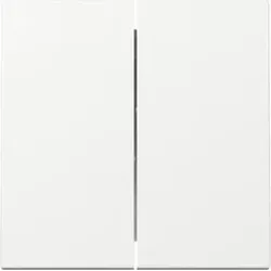 Gira 329503 Wippe 2f System 55 Reinweiß