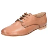 LLOYD Schnürschuhe in braun Gr.: 37,5
