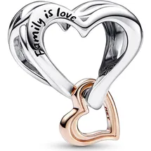 Pandora Unendlichkeits-Herz Bicolor 782642C00