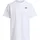 The North Face Evolution Simple Dome Regular Fit T-Shirt mit Logo-Stitching, Weiss, M