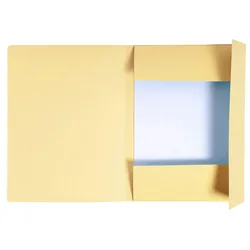 Exacompta 449002E 50x Bedruckte Sammelmap.280g folio Forever beige - beige
