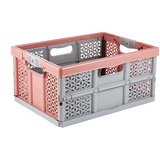 keeeper Stabile Profi-Klappbox mit Soft-Touch Griffen, 48,5 x 35 x 23,5 cm, 32 l, Lea, Nordic Red