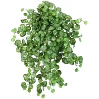 Aplanta Künstliche Steinbrech - Emanuel | 50cm,