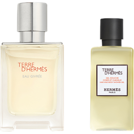 Hermès Terre d'Hermès Eau Givrée Eau de Parfum 50 ml + Shower Gel 40 ml Geschenkset