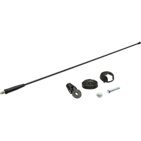 ACV Electronic Dachantenne Fiat