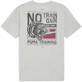 Puma Graphic Illustrated Tee grau XL