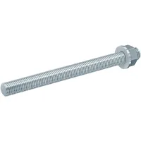 Fischer Ankerstange FIS A M 20 x 290 10 Stück