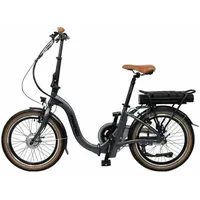 Dot-Blue Franzi 500 2020 20 Zoll RH 42 cm