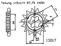 ESJOT Kettingpinion, 13 tanden