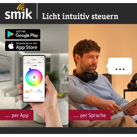 Paulmann Plug & Shine Starterset Smart Home smik Gateway + LED Gartenstrahler Pike Basisset RGBW 1 St. Schwarz/Silber