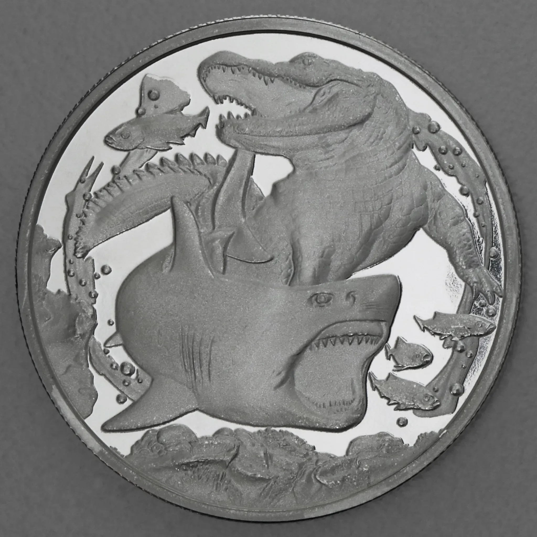 Silbermünze 1oz 