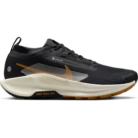 Nike Pegasus Trail 5 GTX Herren grau, Größe 43 - 43