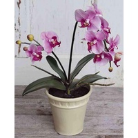 artplants.de Phalaenopsis künstlich Zahra, Keramiktopf, rosa, 60cm - Kunst Orchidee - künstliche Orchidee