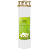 HS Candle 4er Pack Grabkerzen mit Motiv, Grablicht mit Brenndauer von ca. 7 Tage, Motiv: Gänseblümchen, in vielen weiteren Varianten