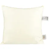 beties „PublikPlus“ Polsterkissen ca. 40x40 cm echte Federn (50% Mehrfüllung) perfekt als Rückenlehne Sitzkissen oder Bodenkissen Farbe Creme
