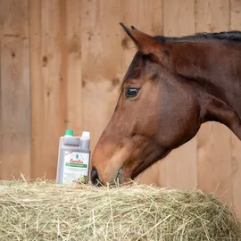 Ewalia Darmvitalsaft für Pferde 1 l