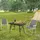Woltu Campingstuhl 2er Set Dunkelgrau