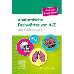 Anatomische Fachwörter von A-Z