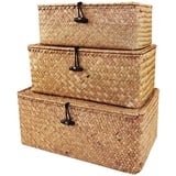 Aufbewahrungskorb aus geflochtenem Rattan, Aufbewahrungsbox mit Deckel, Natur Seegras, Wäschekörbe, Make-up-Organizer für Badezimmer, Wohnzimmer, Küche