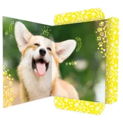 RNK Gummizugmappe A3 Corgi 45382 320x420mm