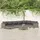 vidaXL Garten-Lounge-Set 9-tlg. grau