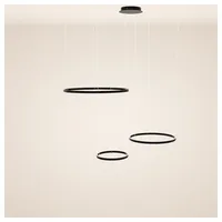 S.luce LED Ring Pendelleuchte 3-flammig Exzentrisch Schwarz / Ø