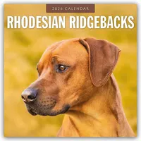 BrownTrout / Flechsig Rhodesian Ridgebacks - Rhodesian Ridgeback 2026