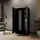 WFL GROUP Drehtürenschrank Mono Lux 102 x 200 x 51 cm Schwarz