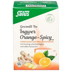 Ingwer Orange Spicy Tee Salus Filterbeut 15 St