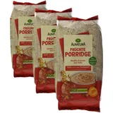Alnatura Früchte Porridge, 500g (Packung mit 3)