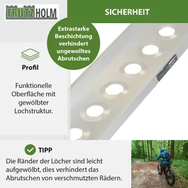 Baumarktplus TRUTZHOLM 1 x Auffahrschiene 194cm Traglast 200kg Alu grau