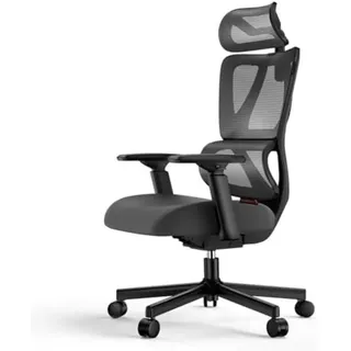 ProtoArc Bürostuhl EC100 Ergonomischer Bürostuhl Mesh mit 10 cm dickem Federkissen (Set), Verstellbarer Armlehne & Kopfstütze für Home-Office schwarz