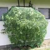 WINDHAGER Vogelschutznetz Grün,