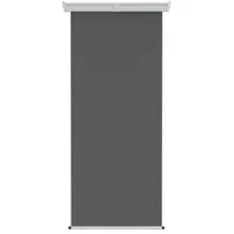 vidaXL Seitenmarkise 170 x 300 cm grau Polyester