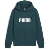 Puma Ess+ 2 Col Big Logo Hoodi, Cold green 152