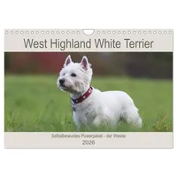 Calvendo West Highland White Terrier - Selbstbewustes Powerpaket -