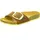 schmal cognac 36