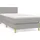 vidaXL Boxspringbett 100 x 200 cm Hellgrau