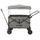 Kettler Bollerwagen EASY grau