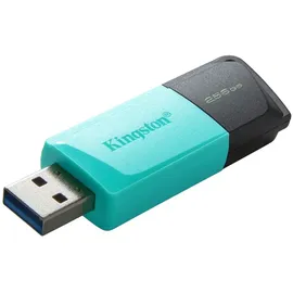 Kingston DataTraveler Exodia M 256GB