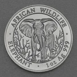 Silbermünze 1oz Elefant 2004 African Wildlife (Somalia)
