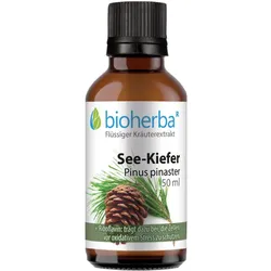 See-Kiefer  Pinus pinaster  Tropfen  Tinktur 50 ml