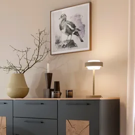Schöner Wohnen ELMO Sandbrise 1 St.