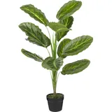 Mica decorations Mica Kunstpflanze Calathea im Topf grün 90 x 60 cm