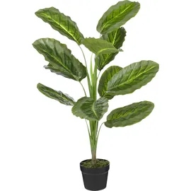 Mica decorations Mica Kunstpflanze Calathea im Topf grün 90 x 60 cm