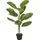Mica decorations Mica Kunstpflanze Calathea im Topf grün 90 x 60 cm