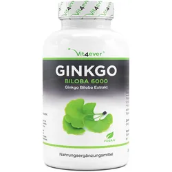 Ginkgo Biloba 6000 mg - Ginkgo Spezial Extrakt - 365 Tabletten