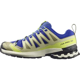 Salomon XA Pro 3D V9 Herren Bluing Bog/Acid Lime 48